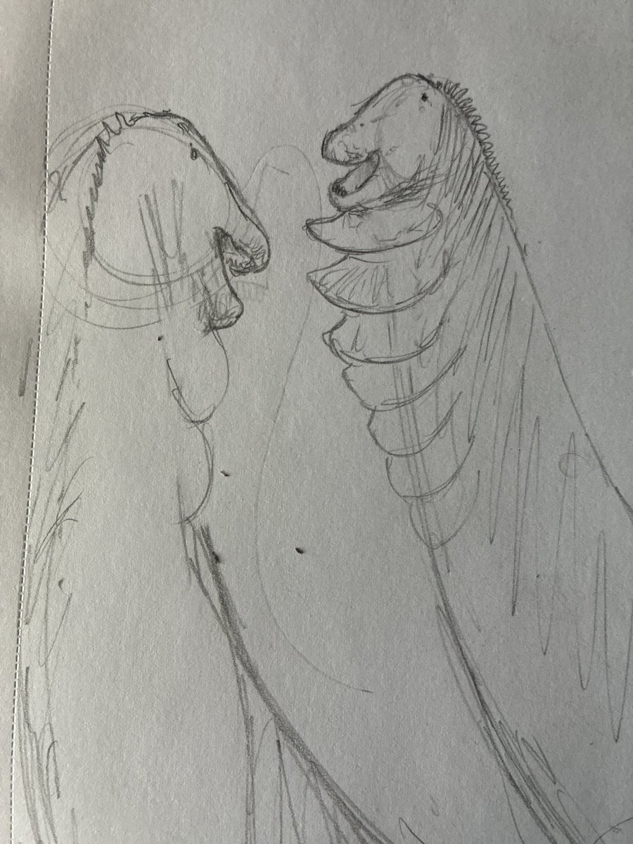 #paleostream