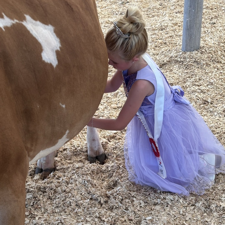 Salem Washington Academy tweet media