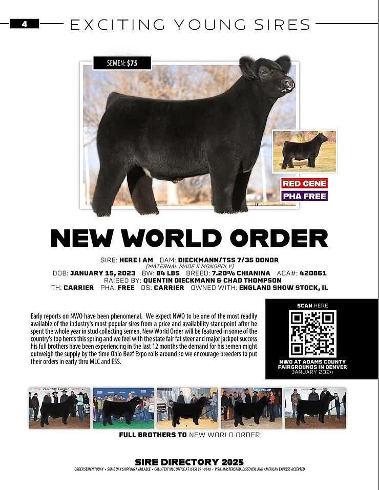 mattlautner's tweet image. Nelson England, Illinois 
-New World Order x 423 Steer 116,000 Views In 24 Hours On Facebook 

#NWO 
#MLCSires 
#ESSBulls