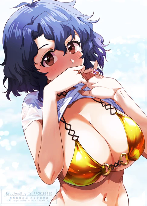流石にデカすぎたかもしれない。