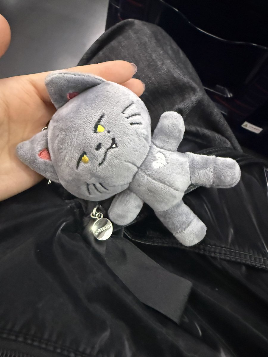 깜고니랑 제주도