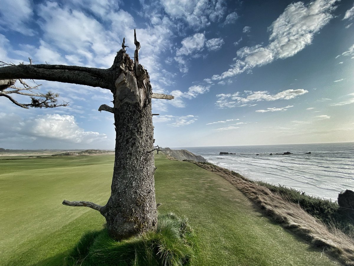 jbk9676's tweet photo. @BandonDunesGolf 🐑 ! https://t.co/zVymdErpGs
