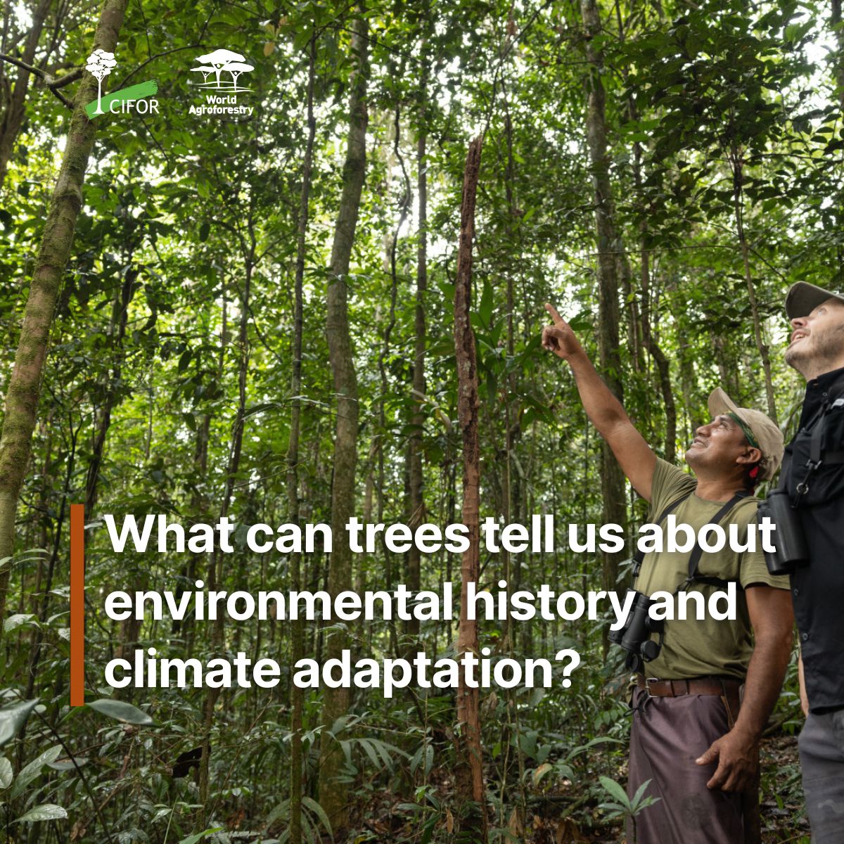 CIFOR-ICRAF tweet media