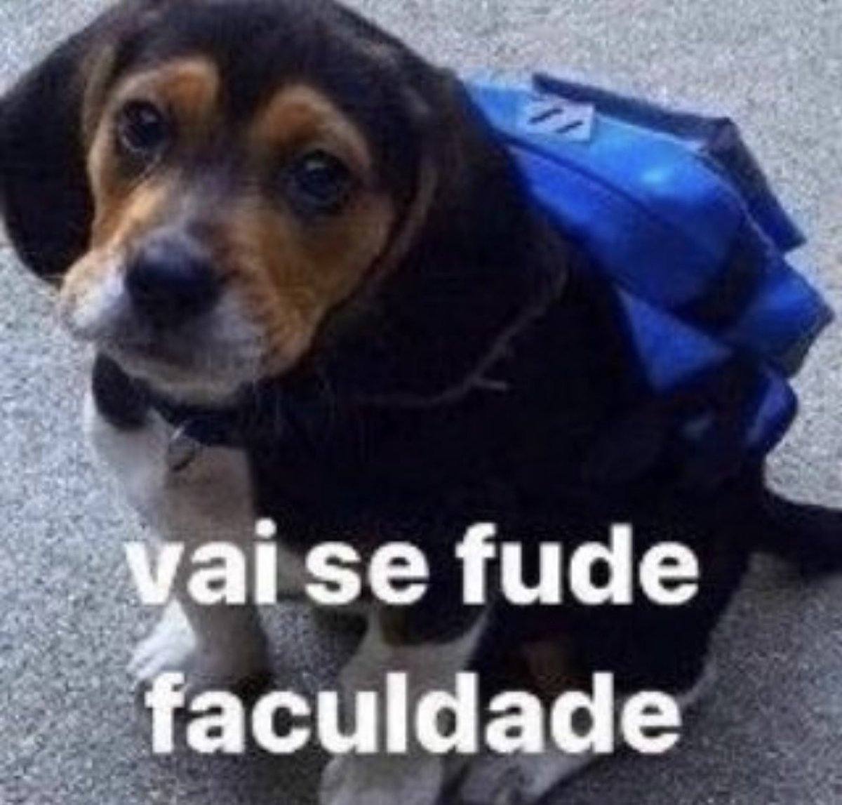 Shitpost só que de verdade tweet media