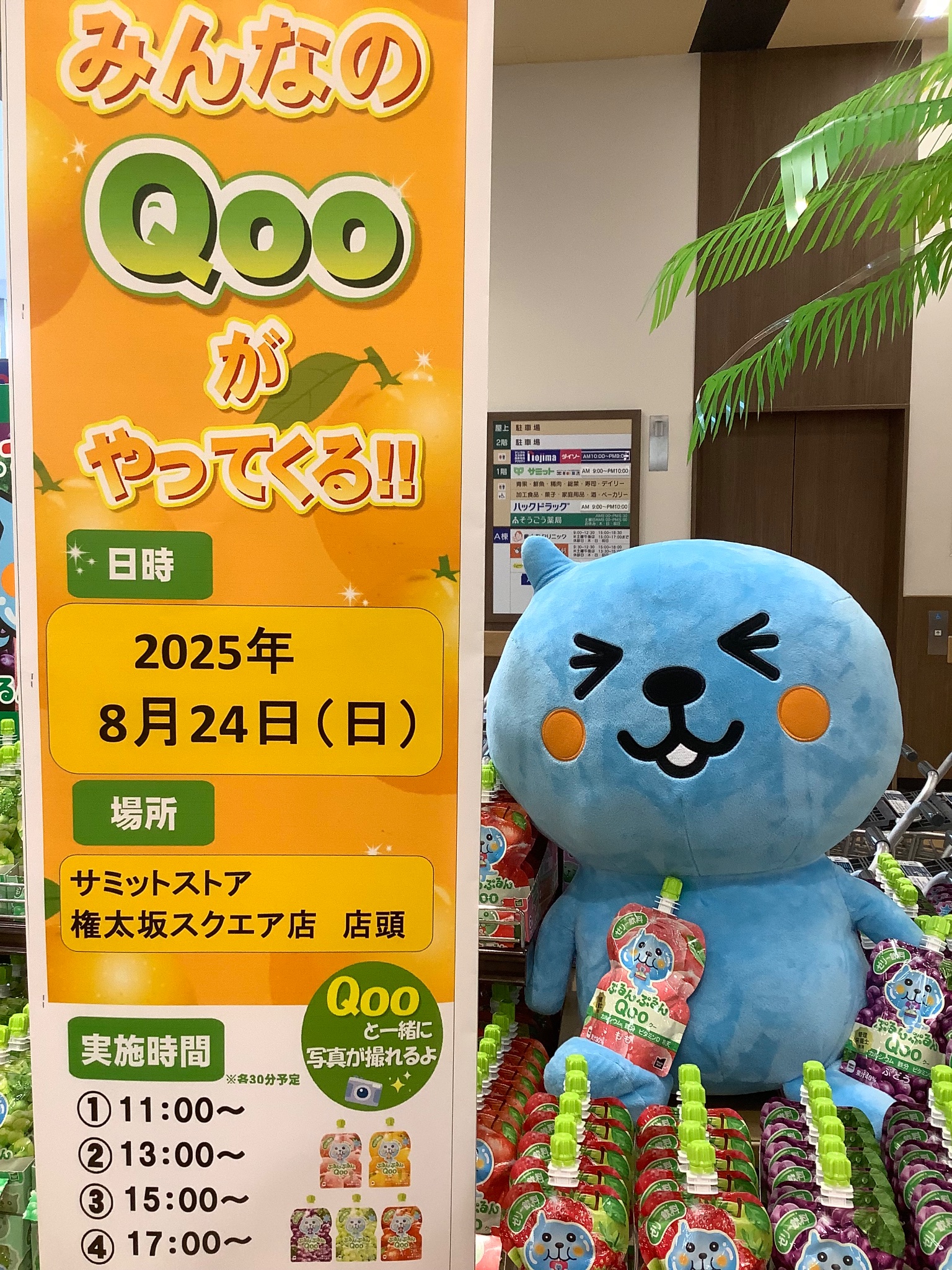 QOO - Search / X