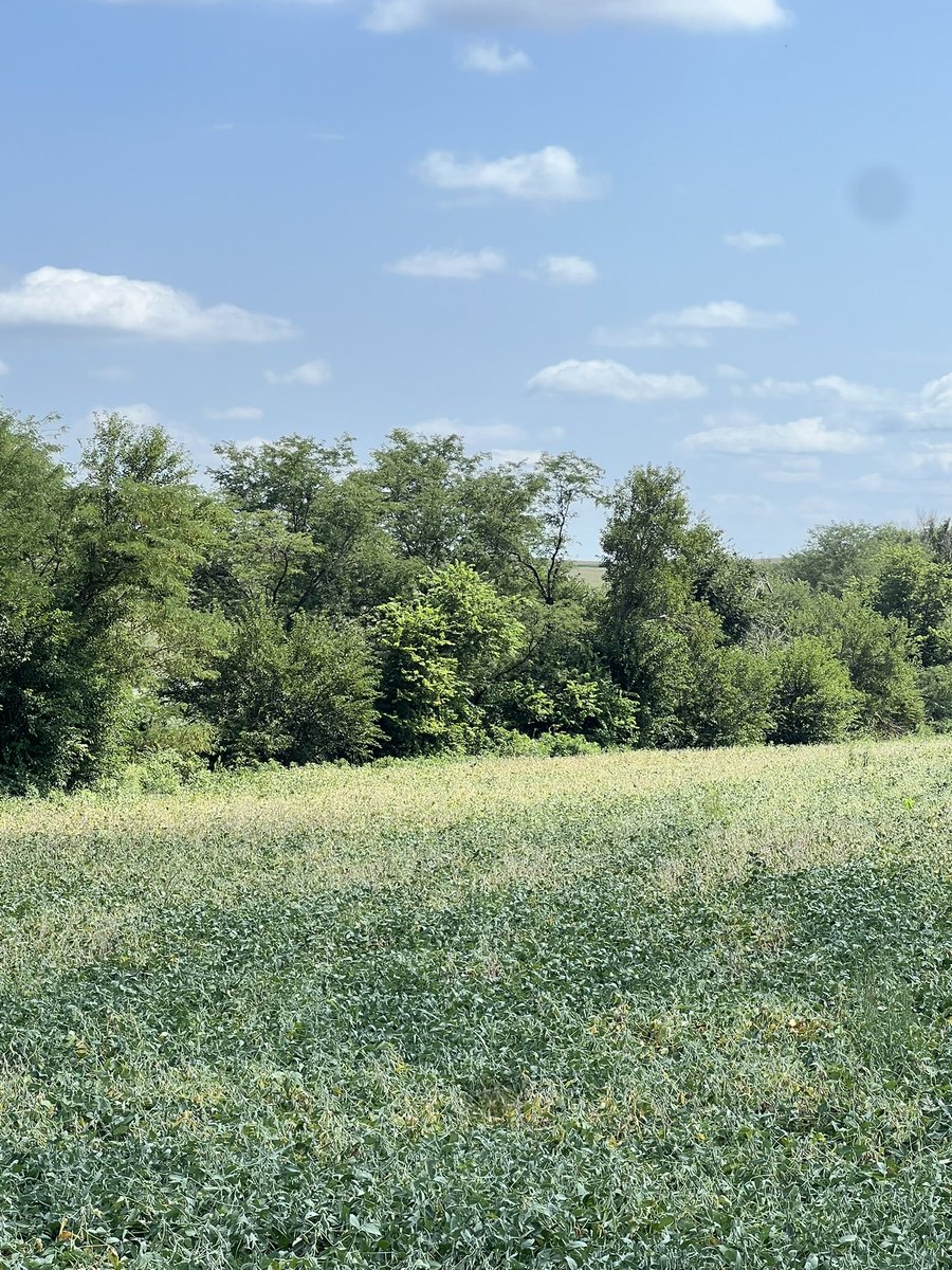 Jeff Bentley tweet media