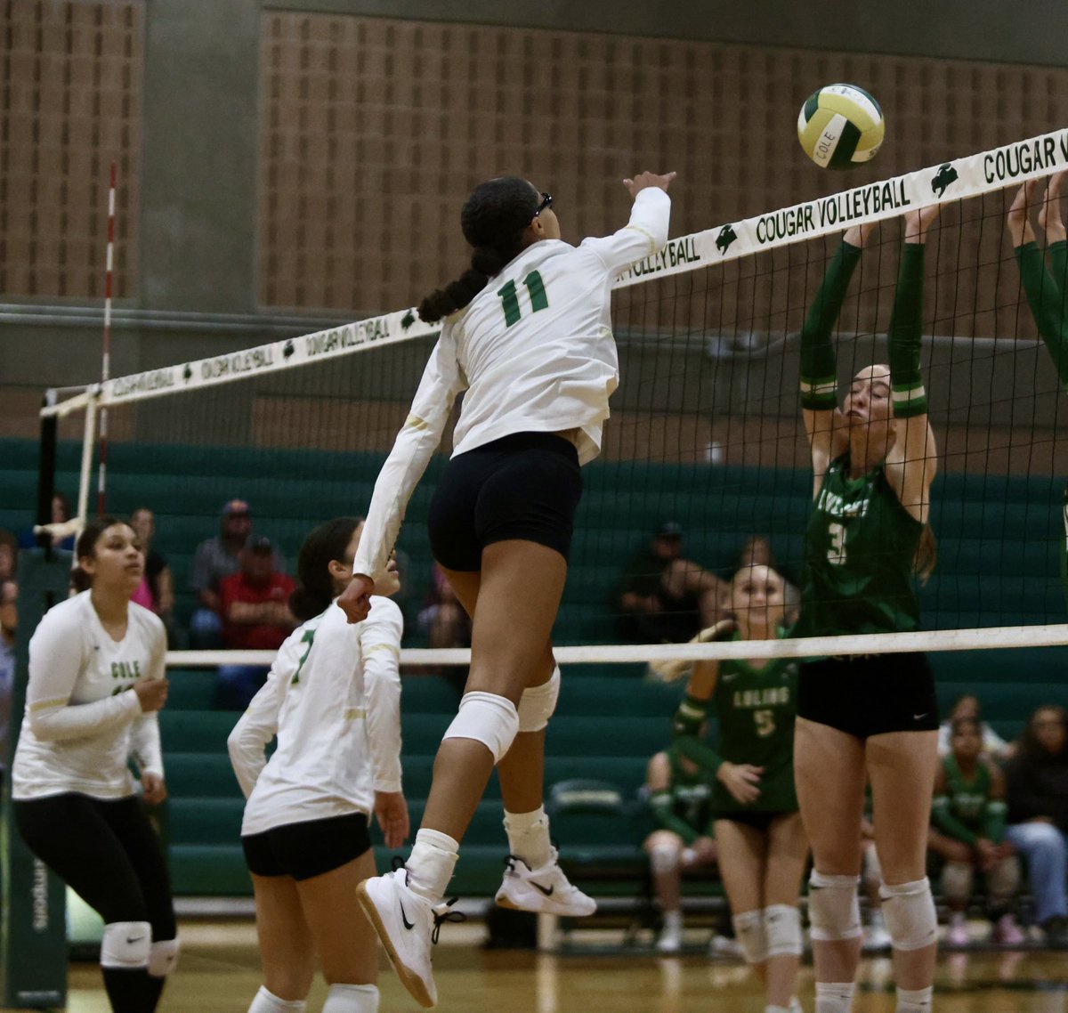 kaceyyraee's tweet image. ‘Tis the ✨season✨ —@ColeCougarFBall &amp;amp; @RGC_VB are starting off the 25-26 year strong! 💚💛🐾 Good luck, Cougars!! #GY6 

More 📸 : …zinsmeyerphotography.zenfoliosite.com/portfolio/rgc-…