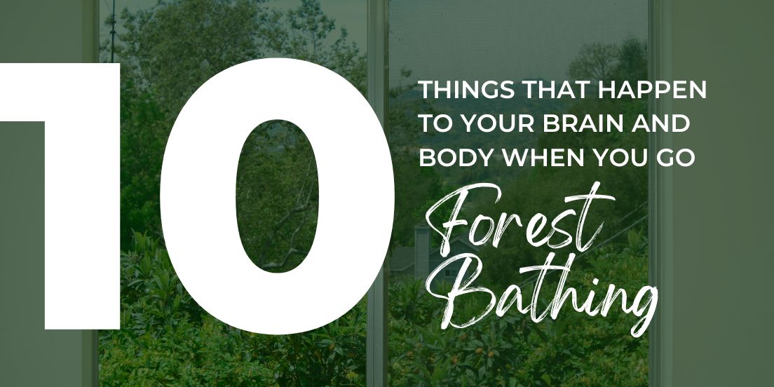 Step into a forest and soak it in—studies show that just being among trees can lower stress, boost mood, &amp; support your immune system. No hiking boots needed! 🌲 City life feeling heavy? Forest bathing is your science-backed wellbeing reset.bit.ly/4fwdvmE #NatureTherapy