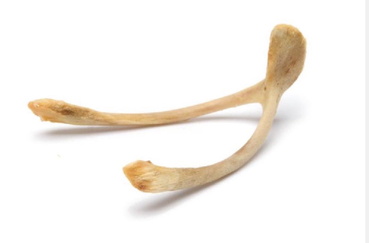 لم ولن يفهما هذا الجيل    ... شنو كنا نسوي فيها اذا شفناها    😄👋؟!   على الغداء طبعا