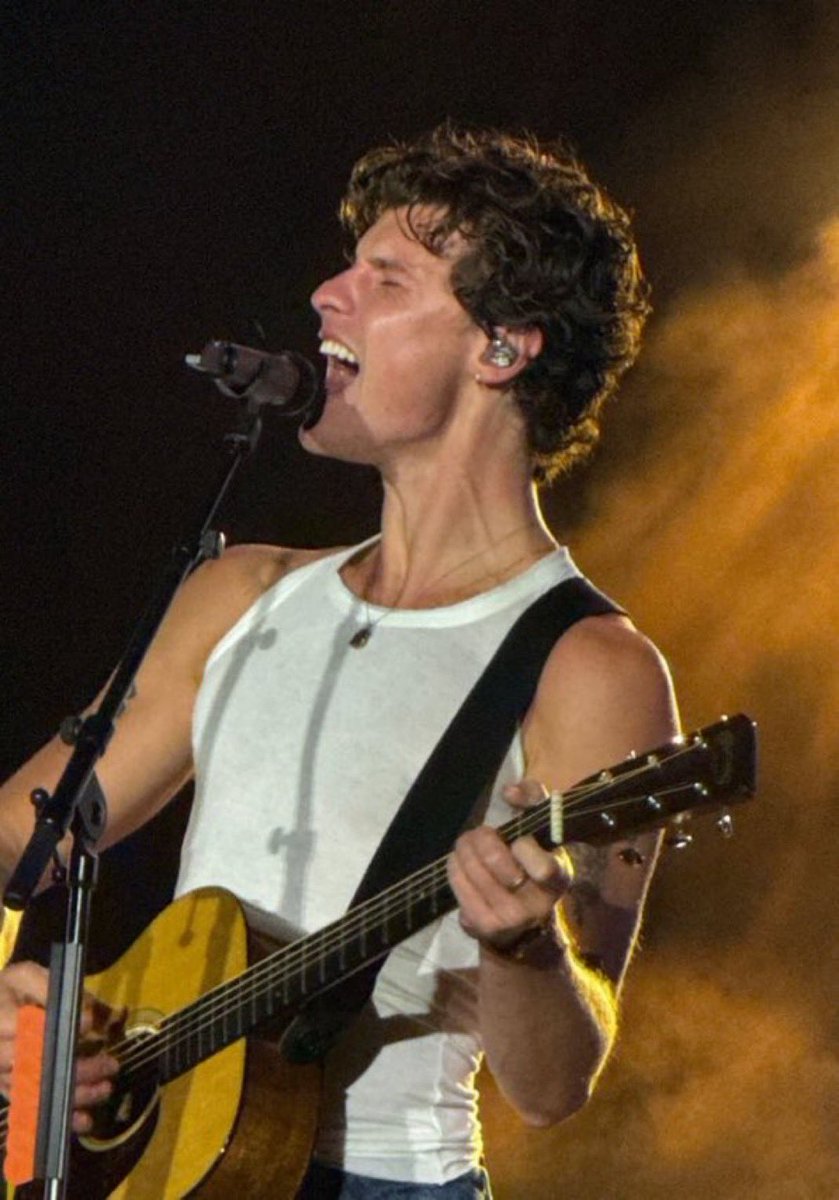 Shawn Mendes durante o show hoje em Zurich ❤️ #OnTheRoadAgainZurich