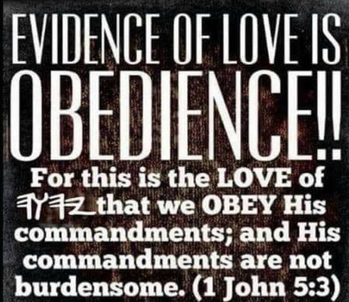 KhemBey913's tweet photo. 13Love 
13Ahava 
13Echad 
13TMHs ELOHYIM 9.13 
-Rabbi Wisdom https://t.co/DcBMueS4Fo