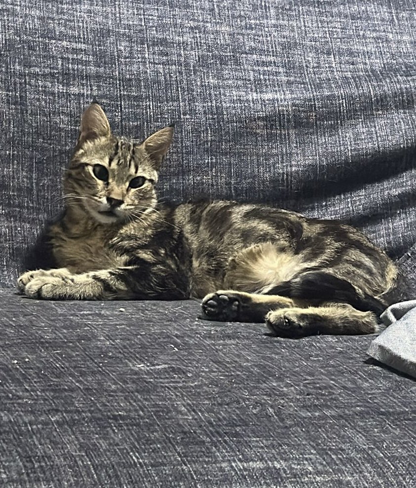 Mucize çocuğum Çandarlım ❤️