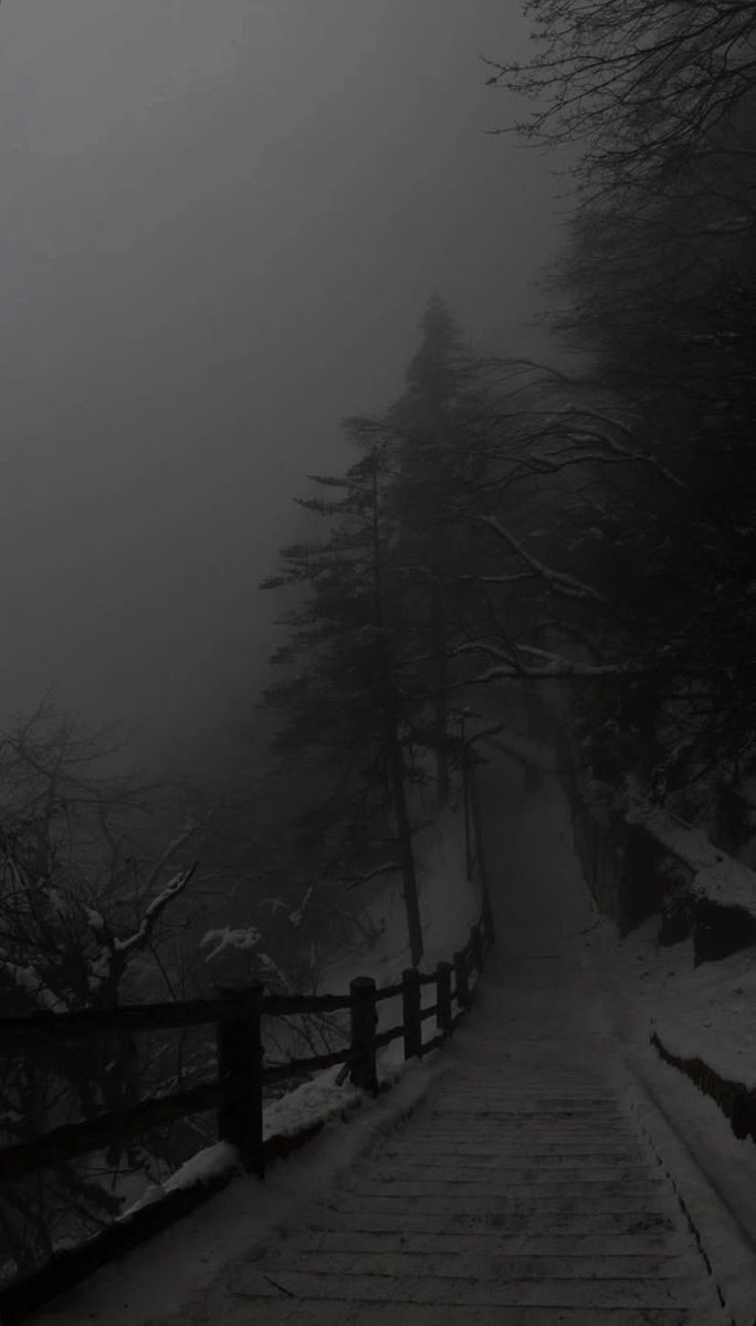 salt (@ancilladominii) on Twitter photo 