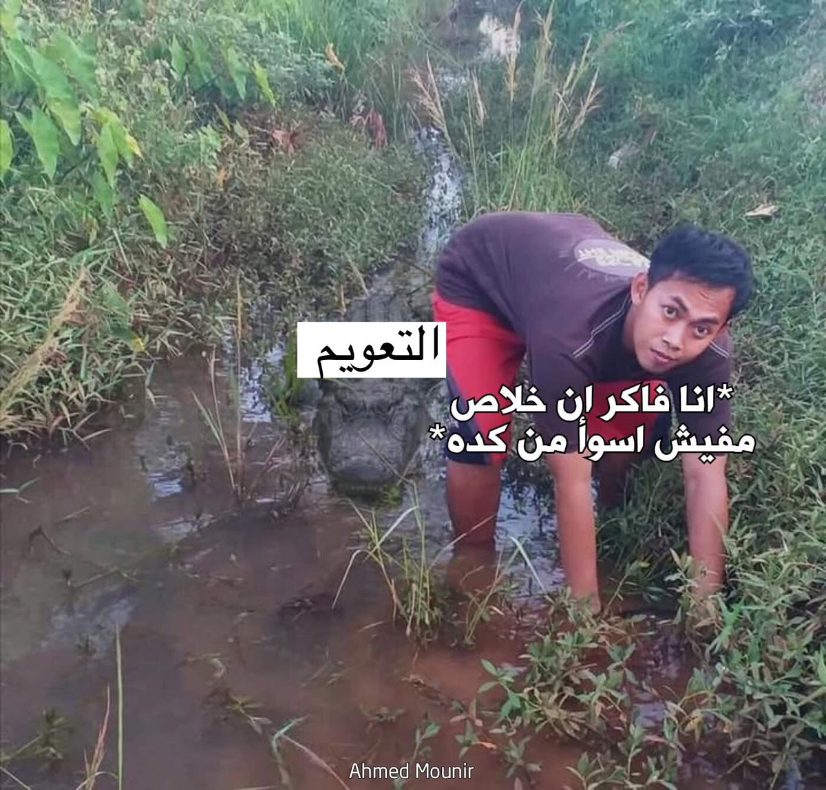 مولان (@colormulan) on Twitter photo 