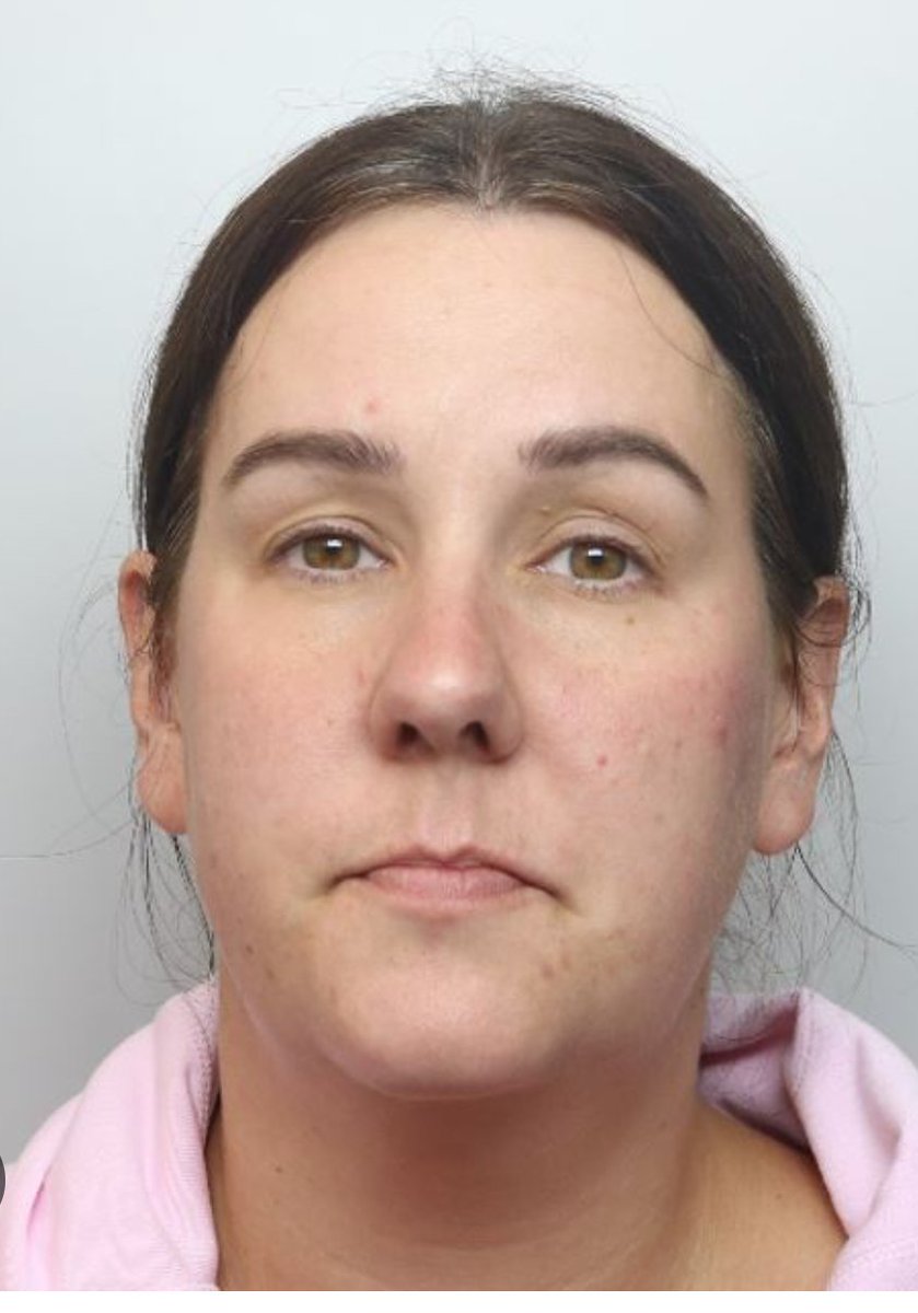 Farmerjoefred 12345 tweet media