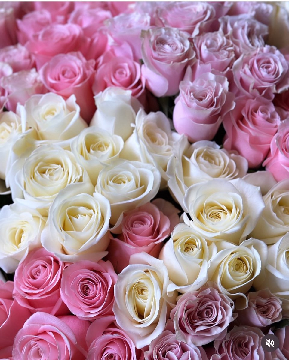 Heureux Anniversaire Tamarha 🎂🎁
<a href="/HWCGINFO/">TRE</a> 🌹
💙