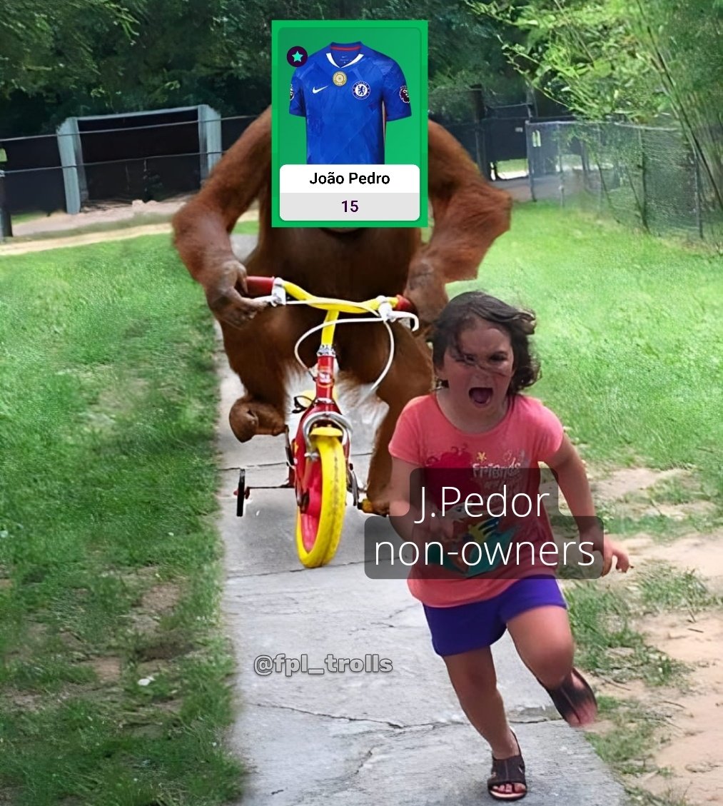 Mention your J.Pedro non-owners friends 🤡