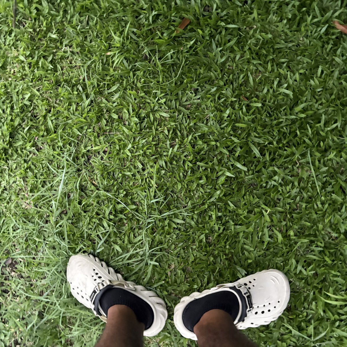 Jola (@jolasolsurfer) on Twitter photo It's Friday
Sol is up. Portfolio is Green
Didn't get rugged
Touching some Grass x Food on delivery paid in USDC via <a href="/KASTcard/">KAST</a>
Catching up on <a href="/JUPANDJUICE/">JUP AND JUICE🧃</a> x <a href="/jup_studio/">Jup Studio (evil intern arc 😈)</a>
Working on my dApp - "The Frat House"
Happy weekend Solana Fam. It's Friday
Sol is up. Portfolio is Green
Didn't get rugged
Touching some Grass x Food on delivery paid in USDC via <a href="/KASTcard/">KAST</a>
Catching up on <a href="/JUPANDJUICE/">JUP AND JUICE🧃</a> x <a href="/jup_studio/">Jup Studio (evil intern arc 😈)</a>
Working on my dApp - "The Frat House"
Happy weekend Solana Fam.