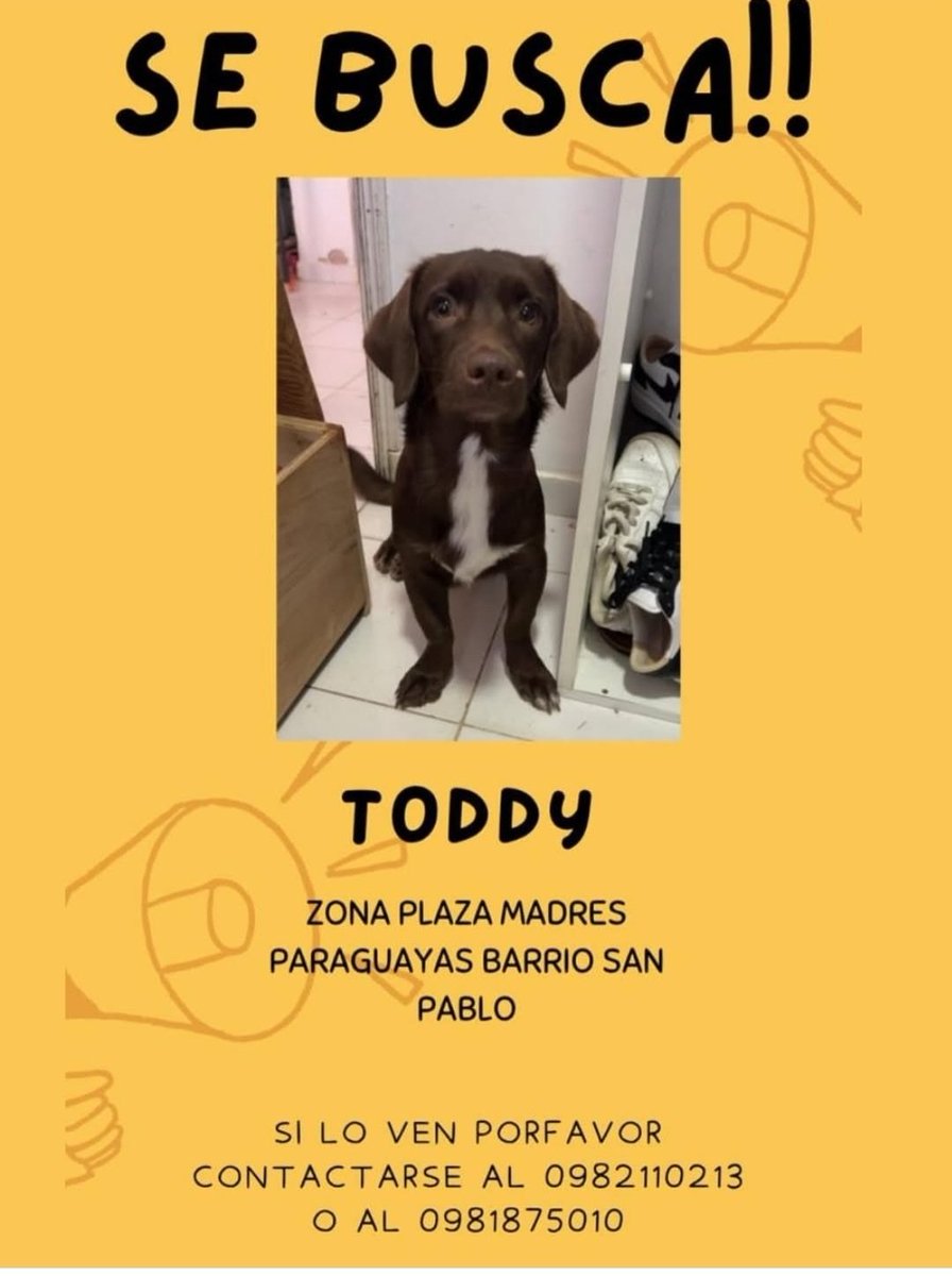 Atención barrio San Pablo, si le viste por favor avisa a su Familia.  Se agradece compartir