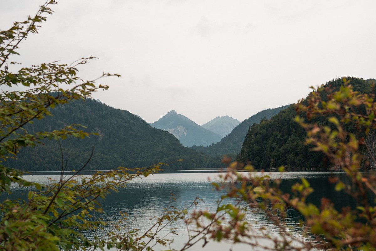 What a way to wrap up our European tour with some incredible views at the Neuschwanstein Castle 🏰🏔️ 

#Whoosh #RELENTLESS #EuroTour2025