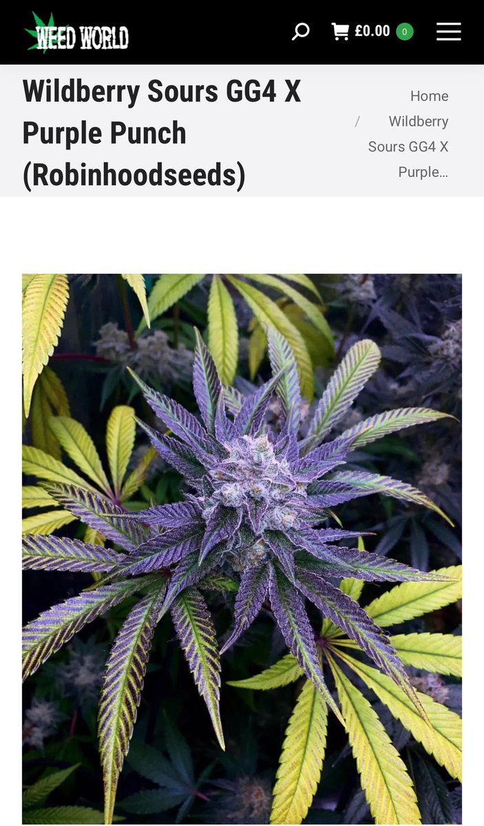 Wildberry Sours. Awesome colors