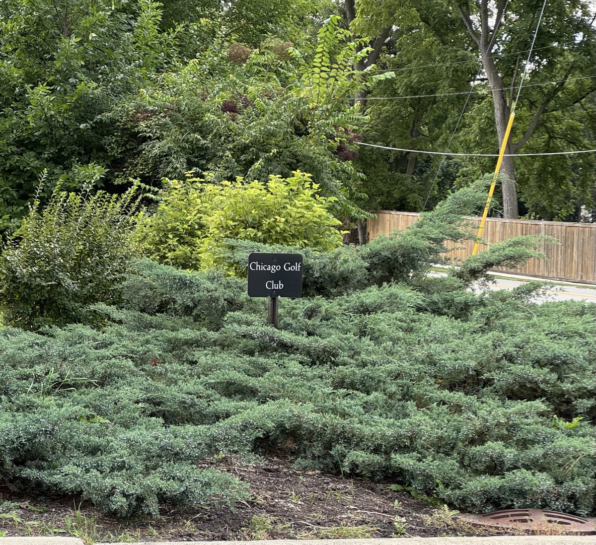 BK Top Golf tweet media