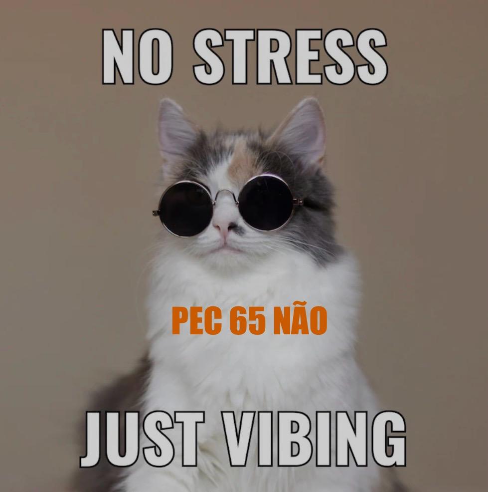 SinalDF's tweet photo. A alteração na natureza jurídica do Banco Central seria o desmonte de sua estrutura jurídica, que funcionou adequadamente por décadas. A PEC 65 ignora as funções de Estado da autoridade monetária. PEC 65 NÃO https://t.co/3nR2q1RlSw