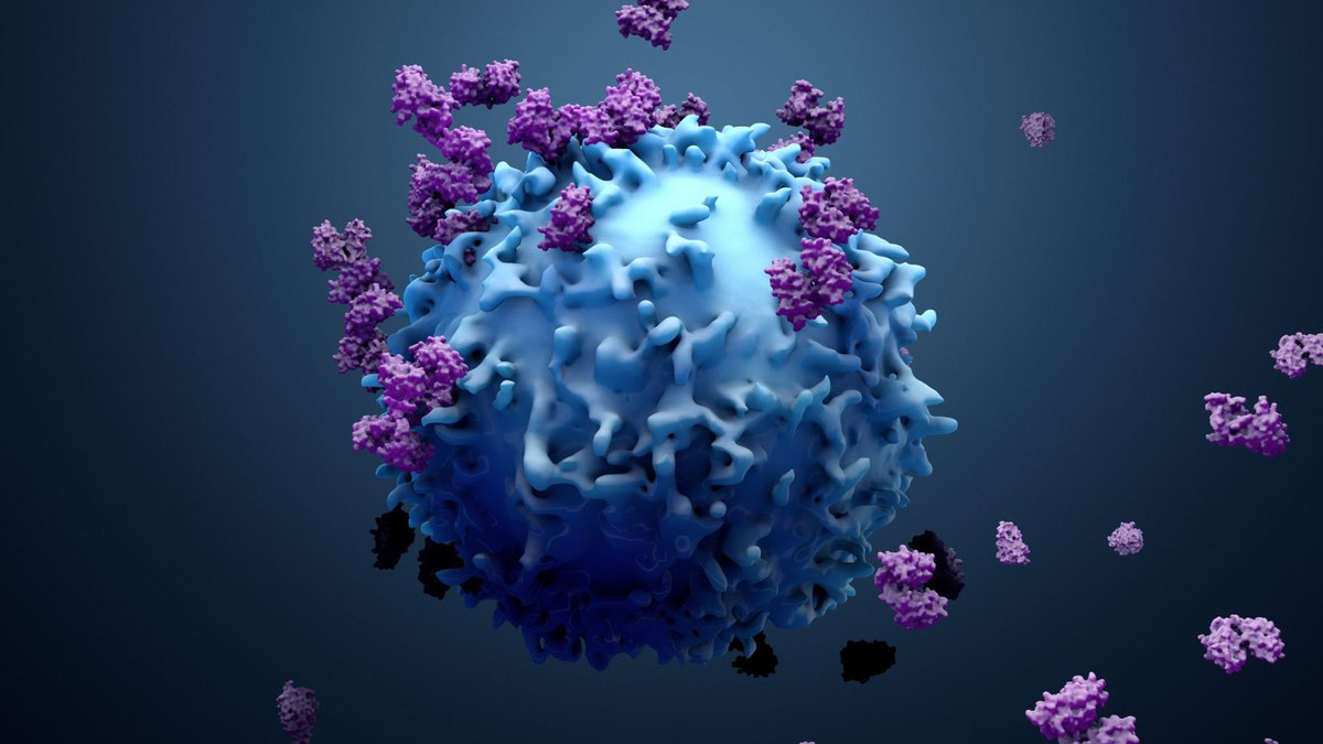 BioadaFounder's tweet photo. CAR T therapy shows dazzling innovation—but without solid foundations, it can’t last: https://t.co/HAXvdCo2yo

#CART #CellTherapy #Immunotherapy #Oncology #DrugDevelopment #BiomedicalInnovation #FutureOfMedicine https://t.co/nxQ6Ou1KTM