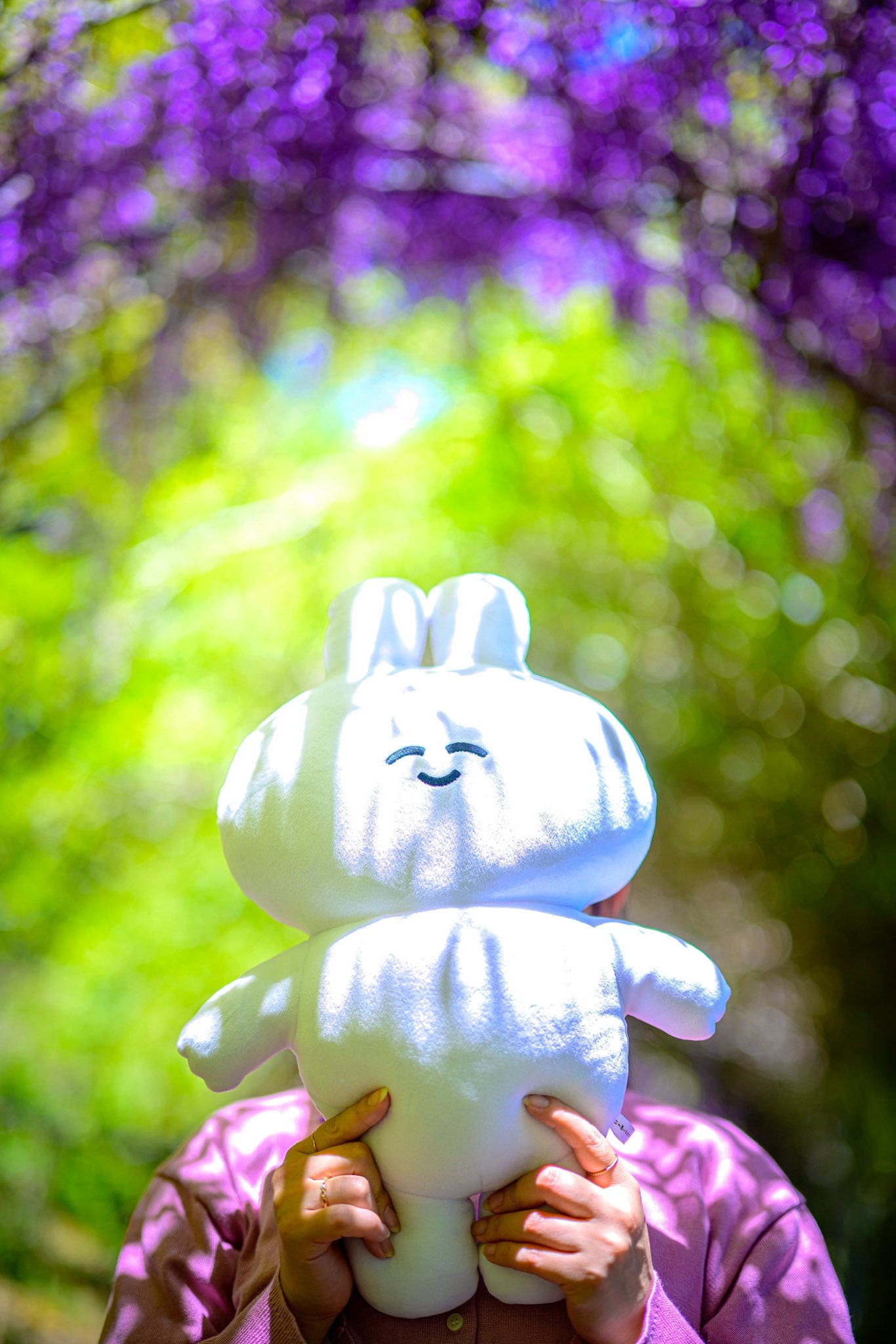 きーのすけ on X: 