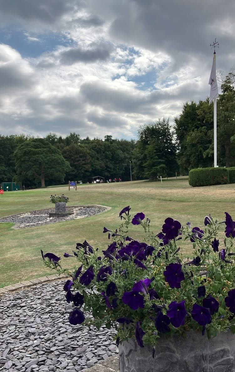 Steve Goldsmith tweet media