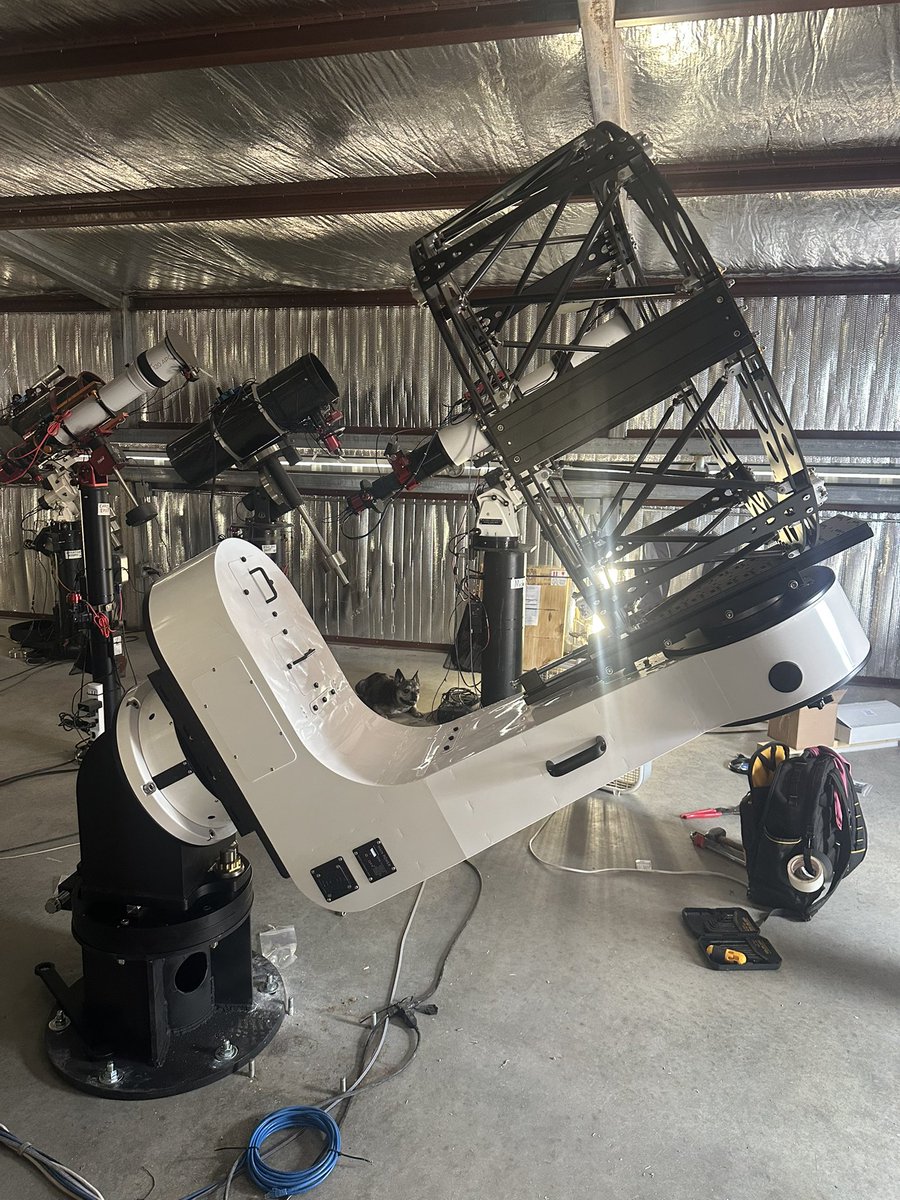 Bray Falls tweet media