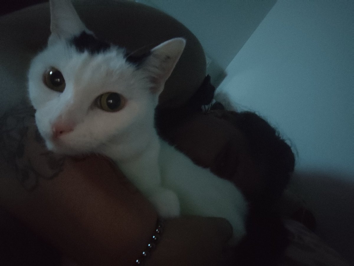 J'ai retrouvé les gros câlins. Je crois que je lui ai vraiment manqué ❤️