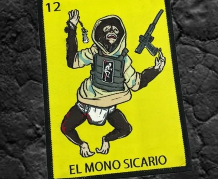 🇲🇽☠️🇺🇦Un Operador de drones FPV de la 3ª Brigada de Asalto de las Fuerzas Armadas de Ucrania lleva un parche con la imagen del “Mono Sicario”, un mono araña que fue mascota de sicarios de la Familia Michoacana, en el Estado de México.