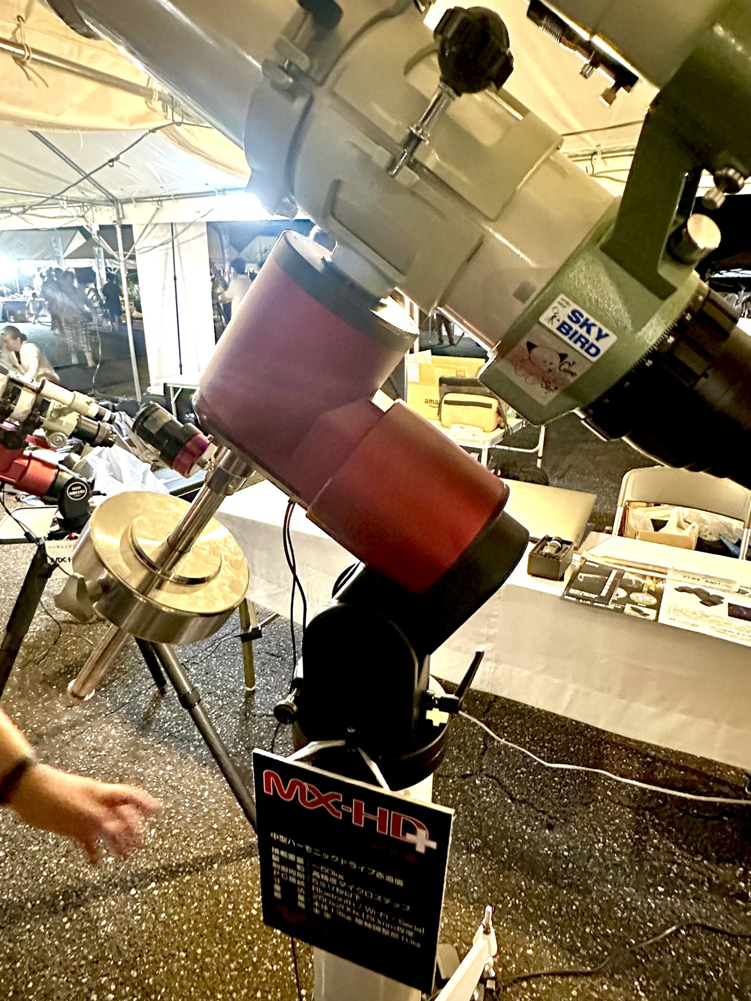 くぅちゃん くぅちゃん (@QOOchan227) / X