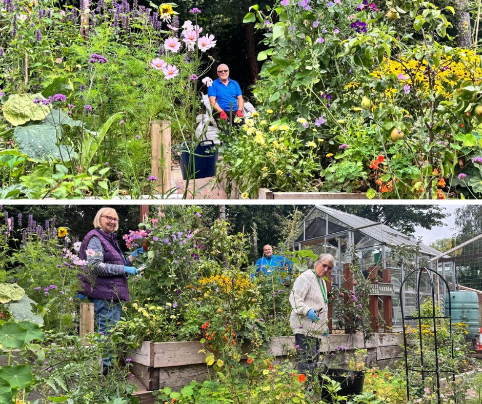 From upstairs at the Hospice, we spotted this lovely scene – our volunteers enjoying each other’s company in our gardens 💚

The sweet peas smelt incredible and are now dotted around the Hospice in vases.

We’d love for you to share your memories of our gardens in the comments ☺️
