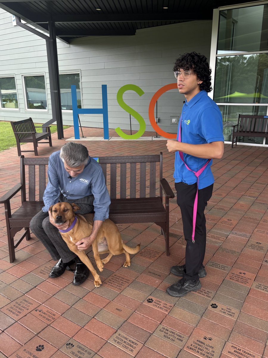 PierreSimmons36 tweet media