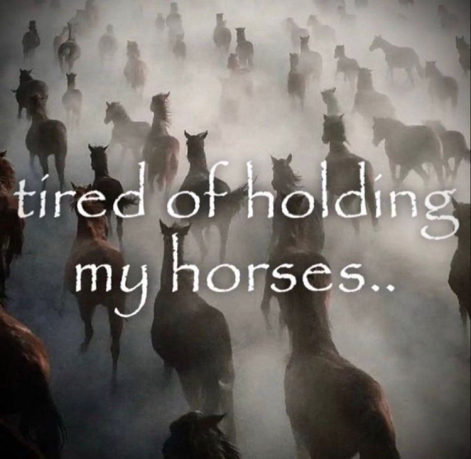 horse (archived) (@rllyhungryhorse) on Twitter photo 