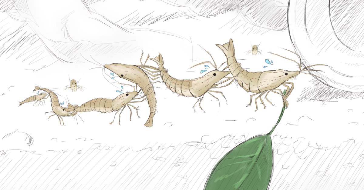 レンガ🎨 (@shirai_renga) on Twitter photo 