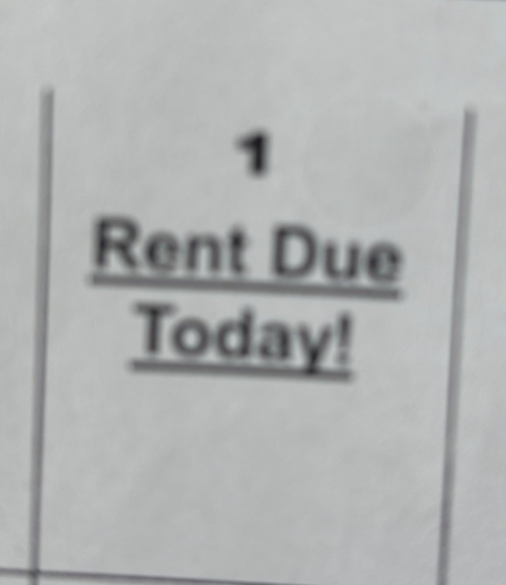 e-feasible belafonte bellweather belagiano tweet media