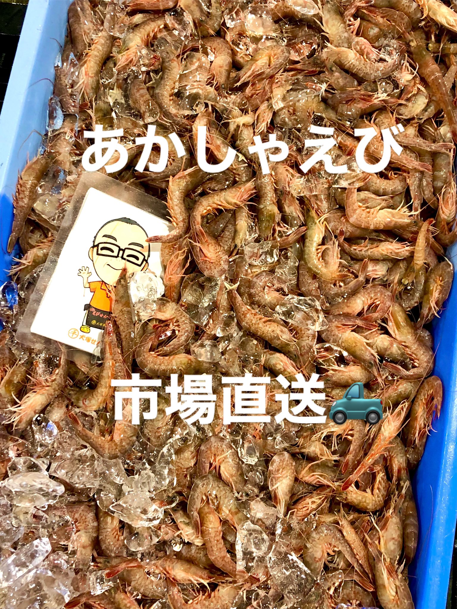 ご縁に感謝です。 71f7vAIvBvL._UF350,350_QL50_.jpg