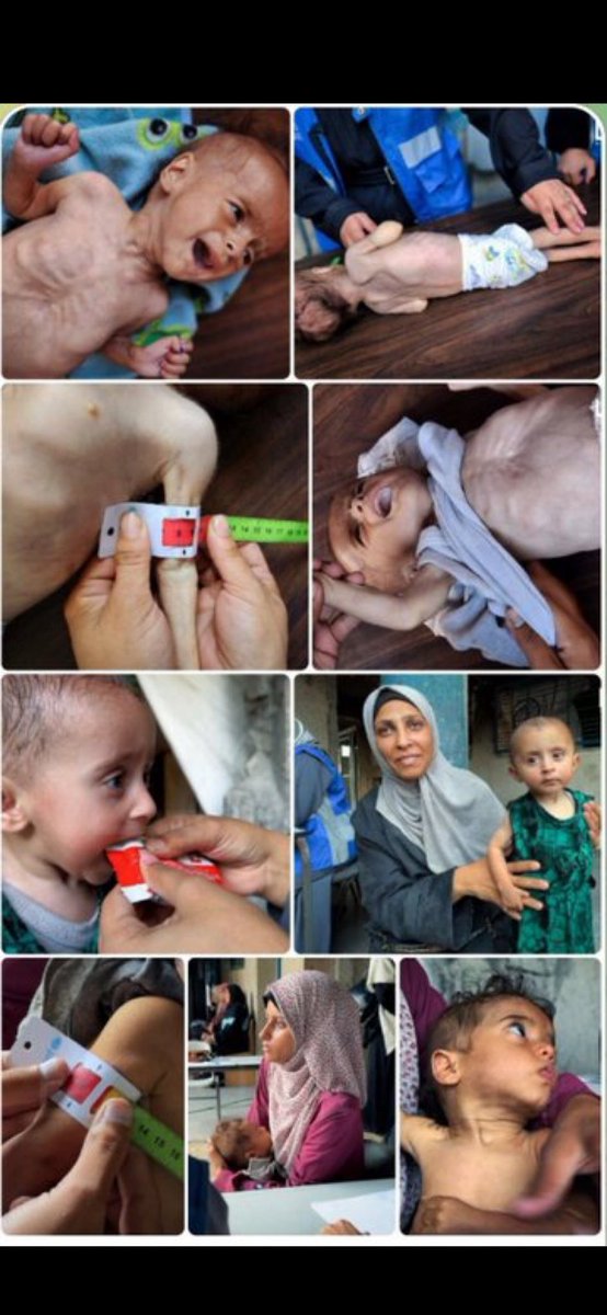 bayramzcan15's tweet photo. #GazzeİçinHareketeGeç https://t.co/A8BiH87h0z