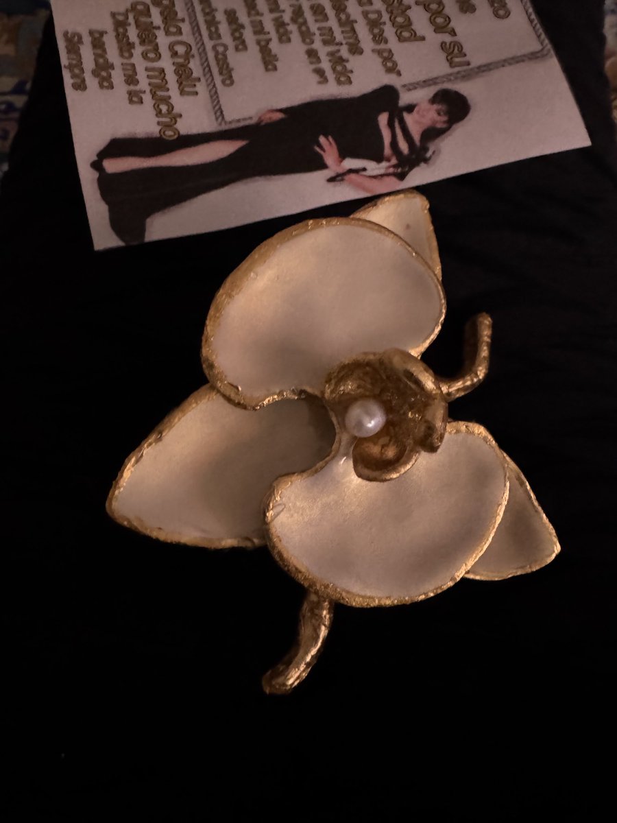 vrocastroficial's tweet photo. ⁦@GigelaChelu⁩ que broche tan bello GIGE una orquídea. Muchas gracias con todo mi cariño. 🙏 https://t.co/tD1YZNHSE9