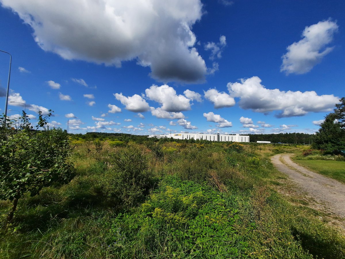 Alan Wakefield tweet media