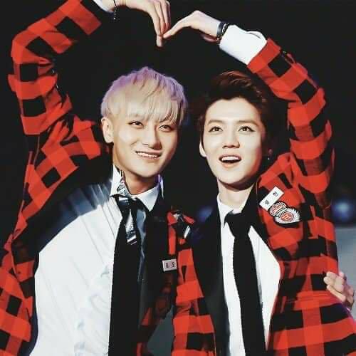 LuHanBrasil's tweet photo. [🦌 + 🐼] Uma história em 3 fotos!

Tao e seu gege #LuHan ❤️ https://t.co/7zcMVM4NBW
