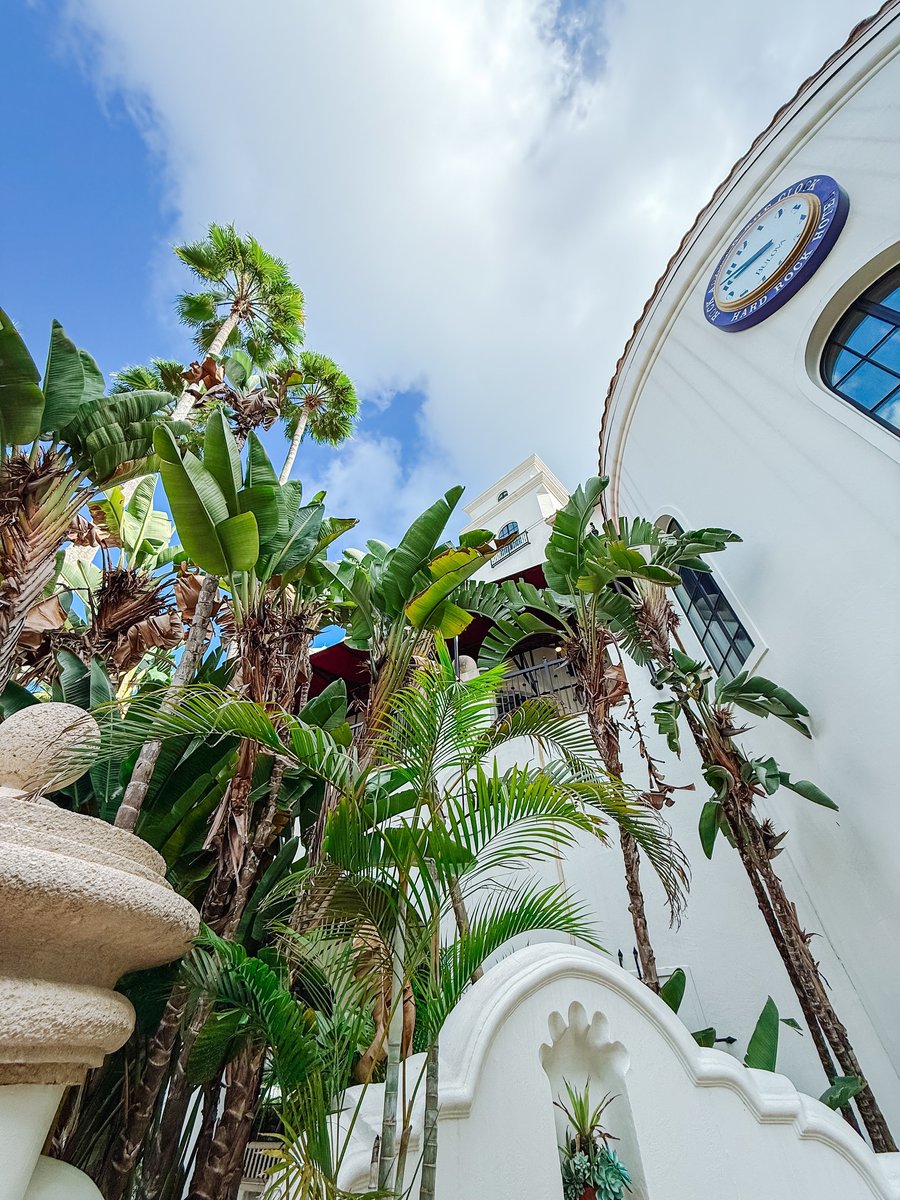 Just another day in rock 'n' roll paradise 🌴☀️🎸 

📸: @magandsam