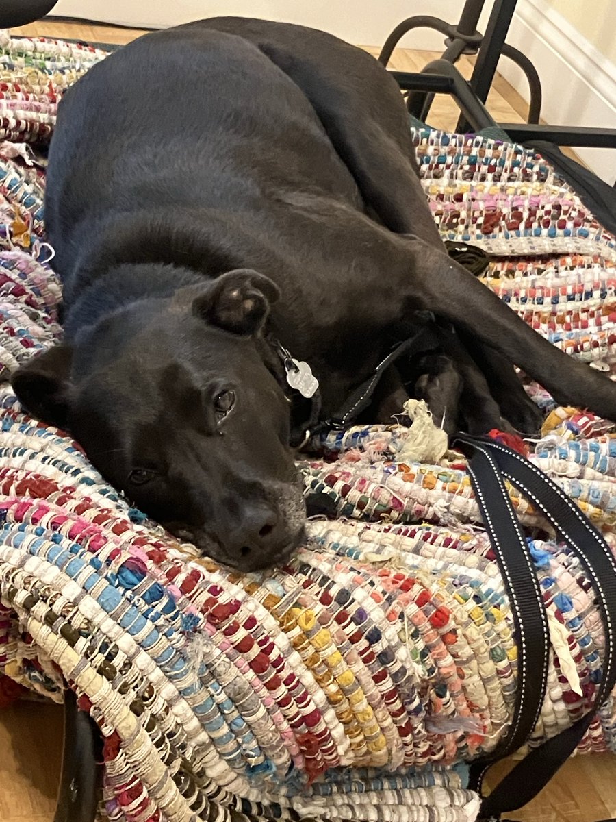 Are you done working yet daddy? https://t.co/YxR4nc7dY2