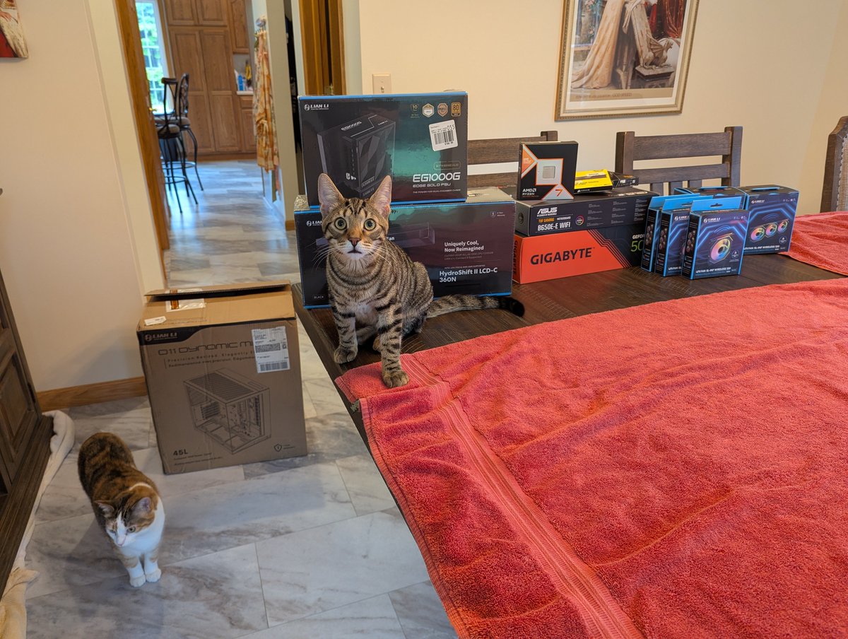 <a href="/GearSeekers/">Gear Seekers</a> <a href="/KlaireCole/">Klaire - Gear Seekers 📸🇦🇺</a> we love our kitties. Time to build.