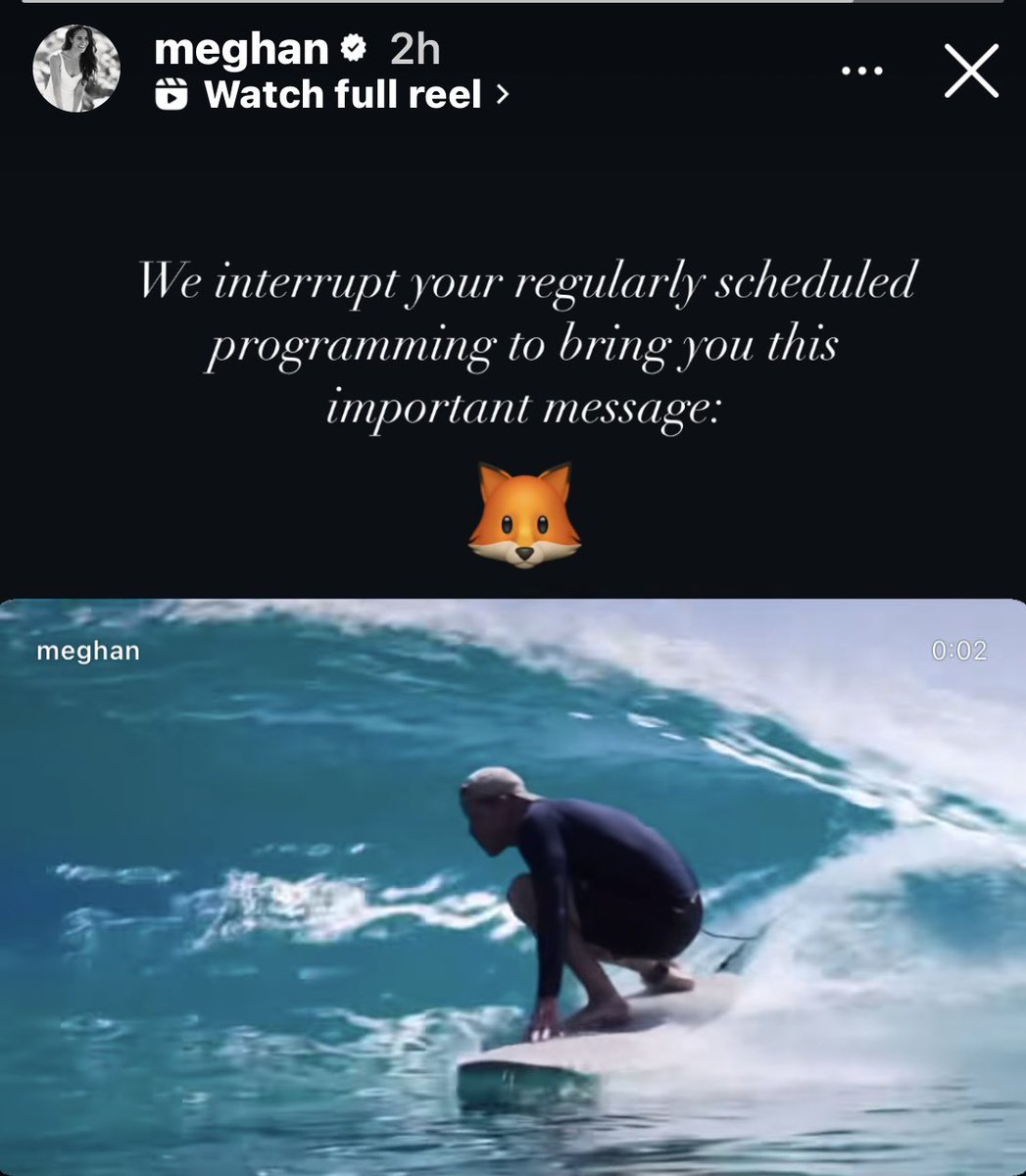 kissingravens's tweet image. 🦊Meghan is hilarious! 
#PrinceHarry 
#redfox
#surfing