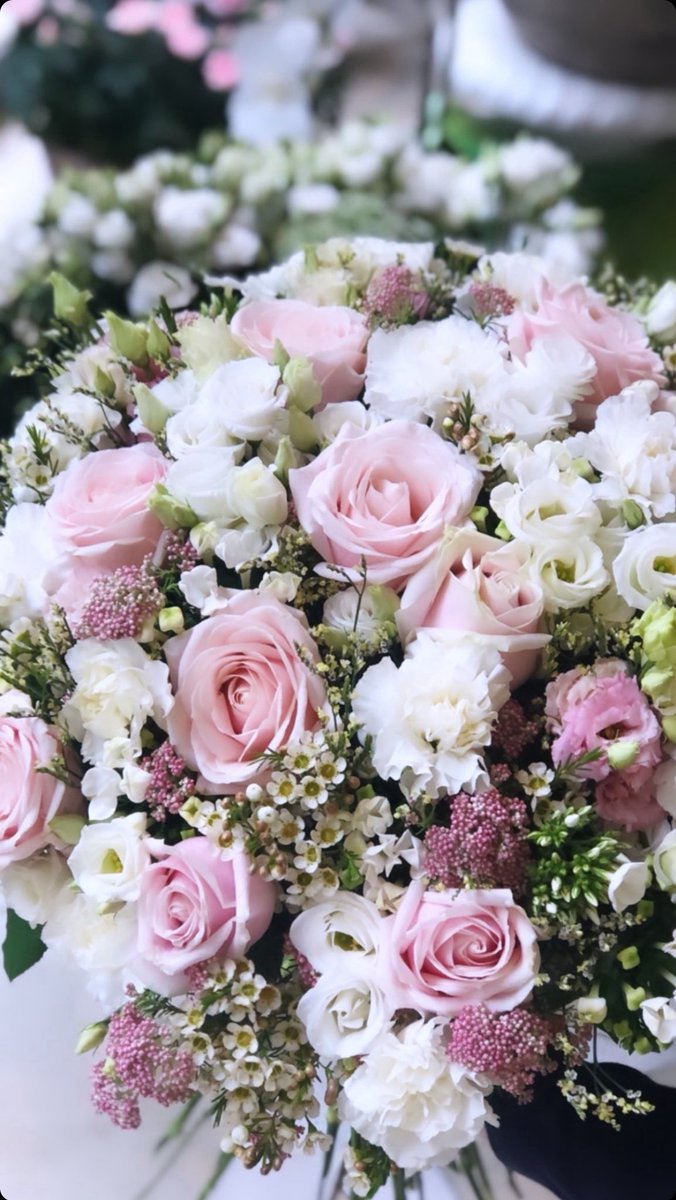 Heureux Anniversaire Fresnel 🎂🎁 <a href="/FresnelJn55365/">Jn fresnel Pierre</a> 🌹
💙