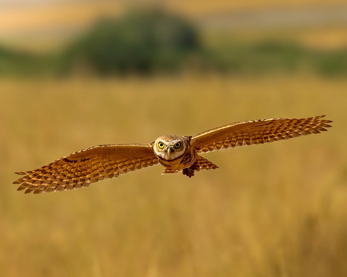 Flying into the weekend like